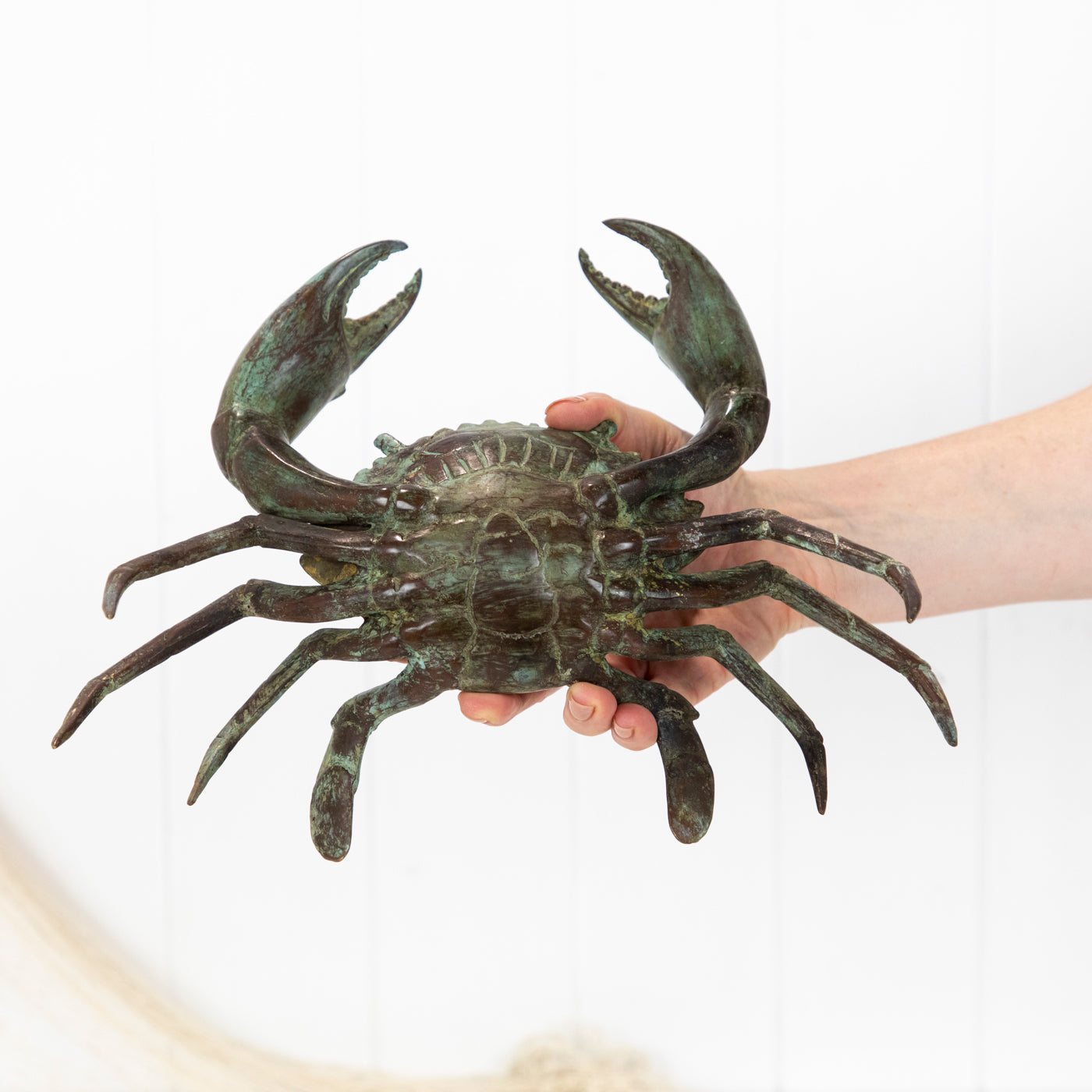 Crab (Xl) Aged #0373Ag