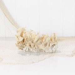 Coral & Sponge #6400