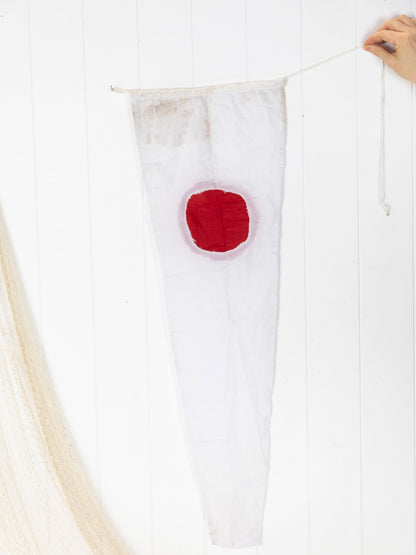 Flag/Pennant No.1 #6499