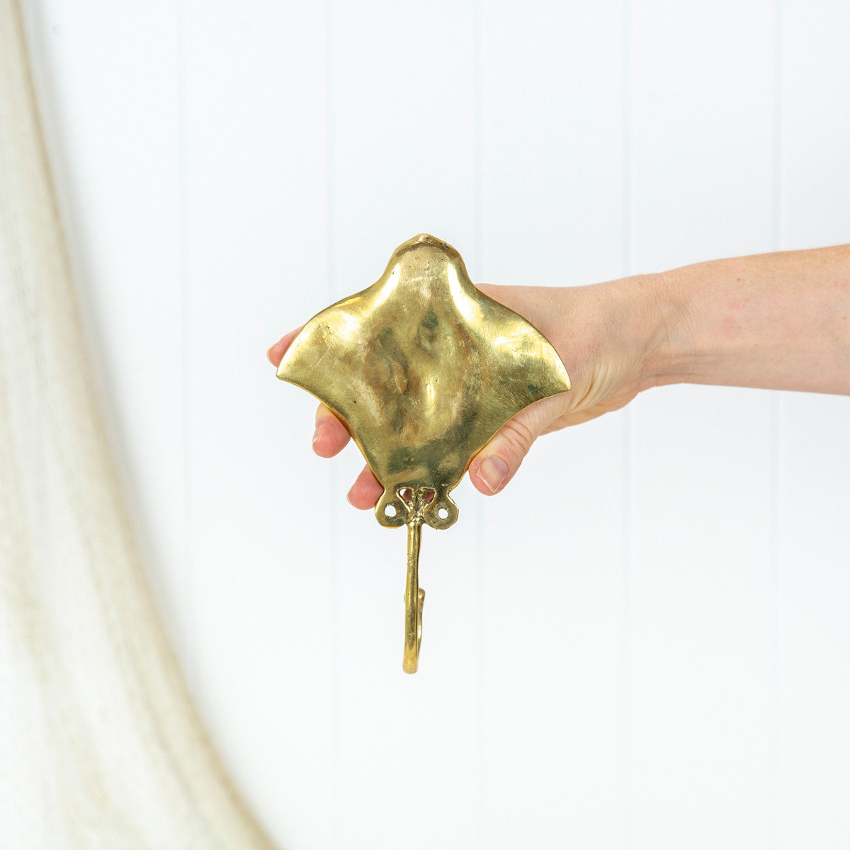 Mantaray Hook - Shiny #0286