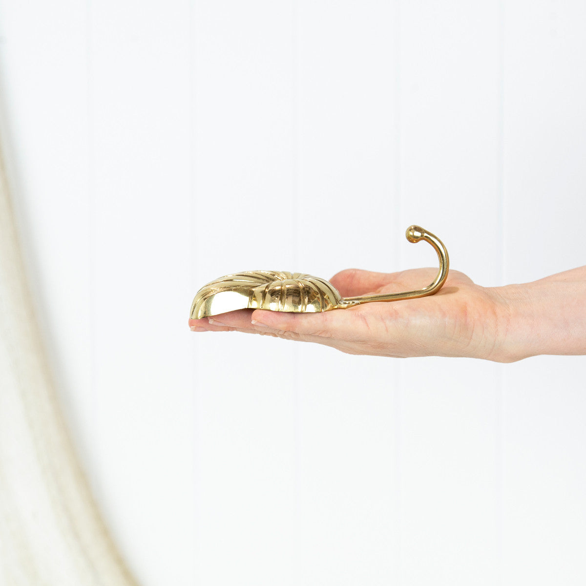 Nautilus Shell Hook - Shiny #0306