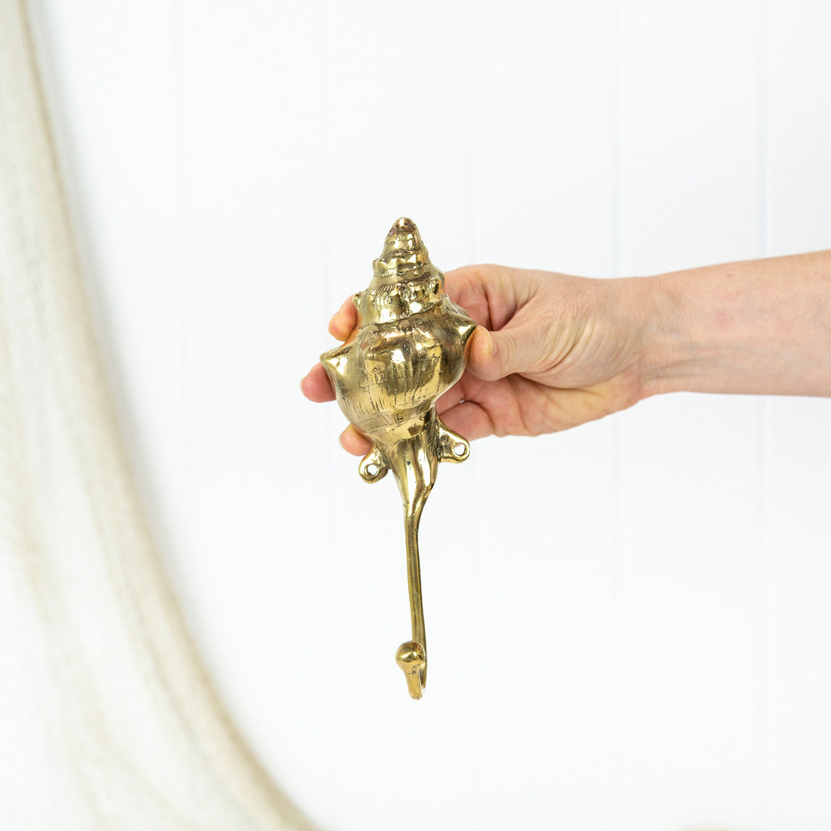 Trumpet Shell Hook #066