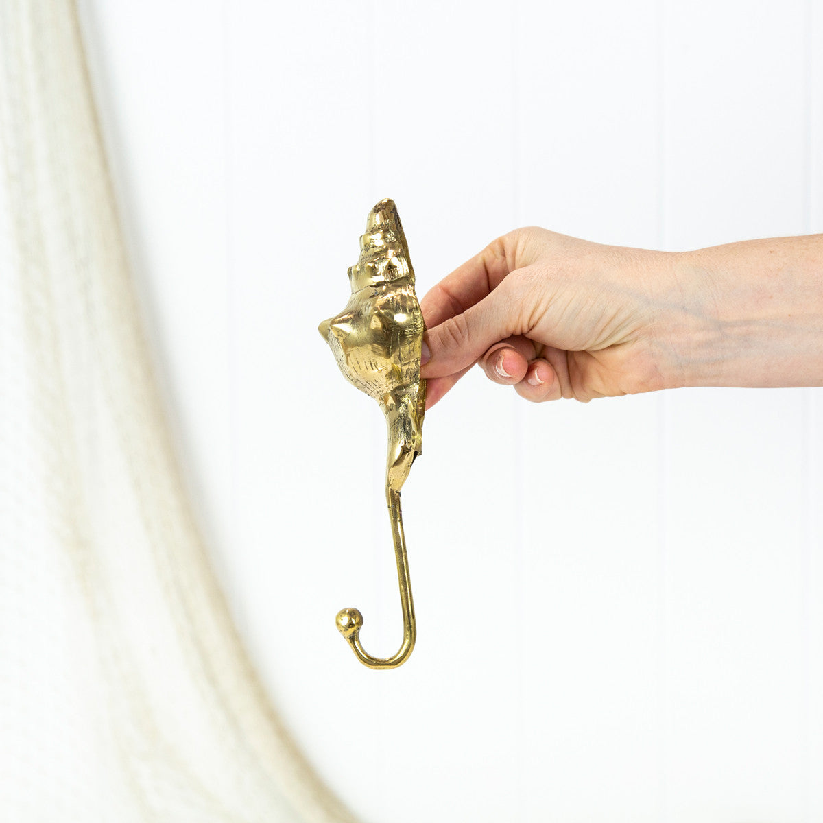 Trumpet Shell Hook #066