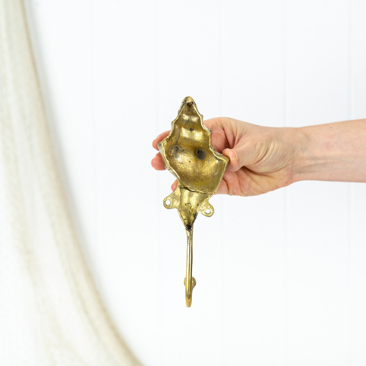 Trumpet Shell Hook #066