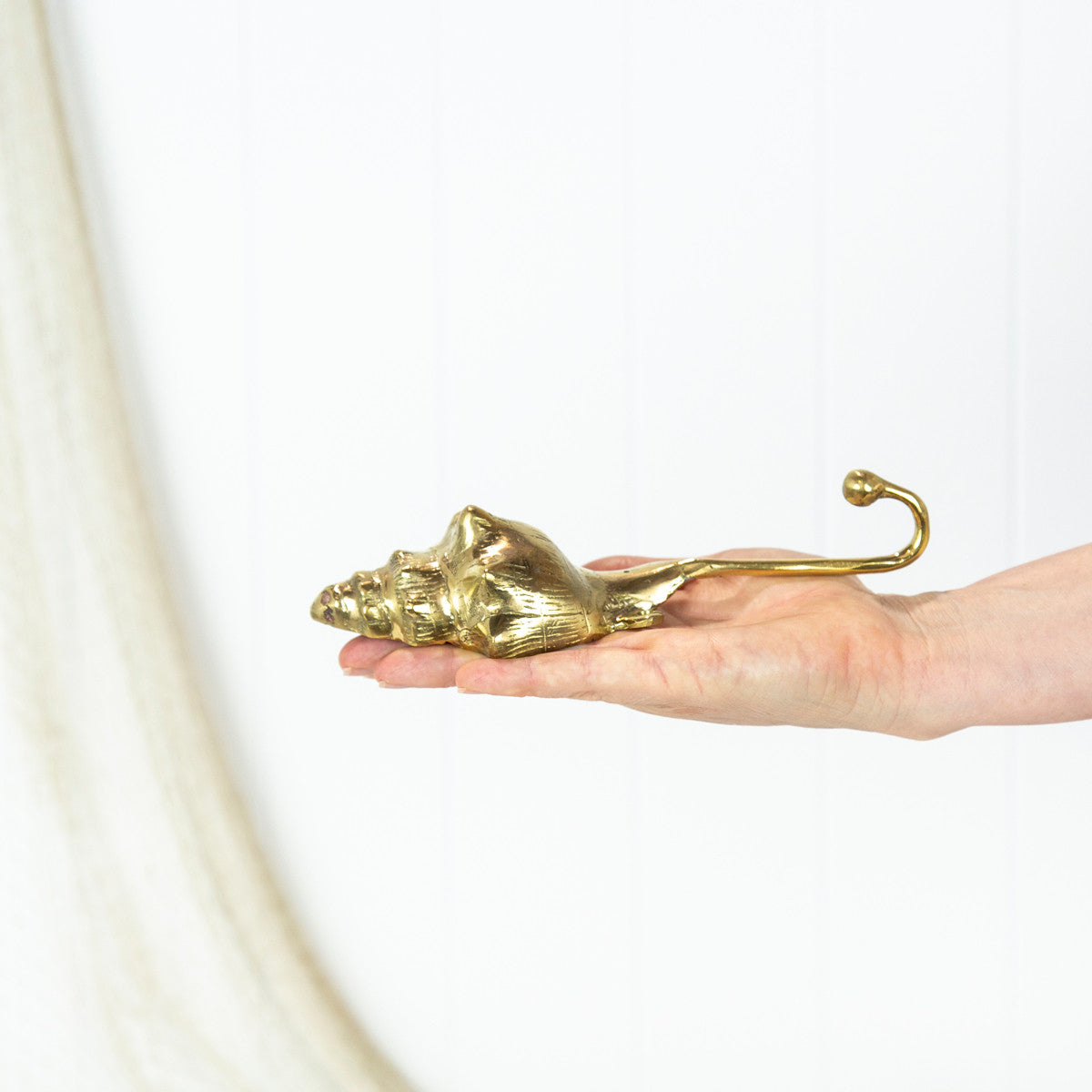 Trumpet Shell Hook #066