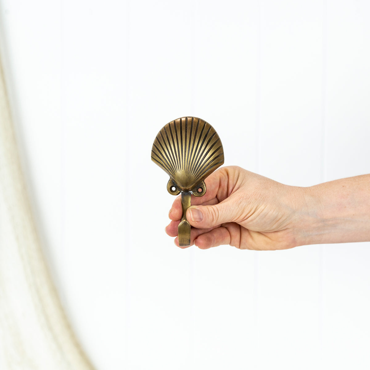 Scallop Shell Hook #0014