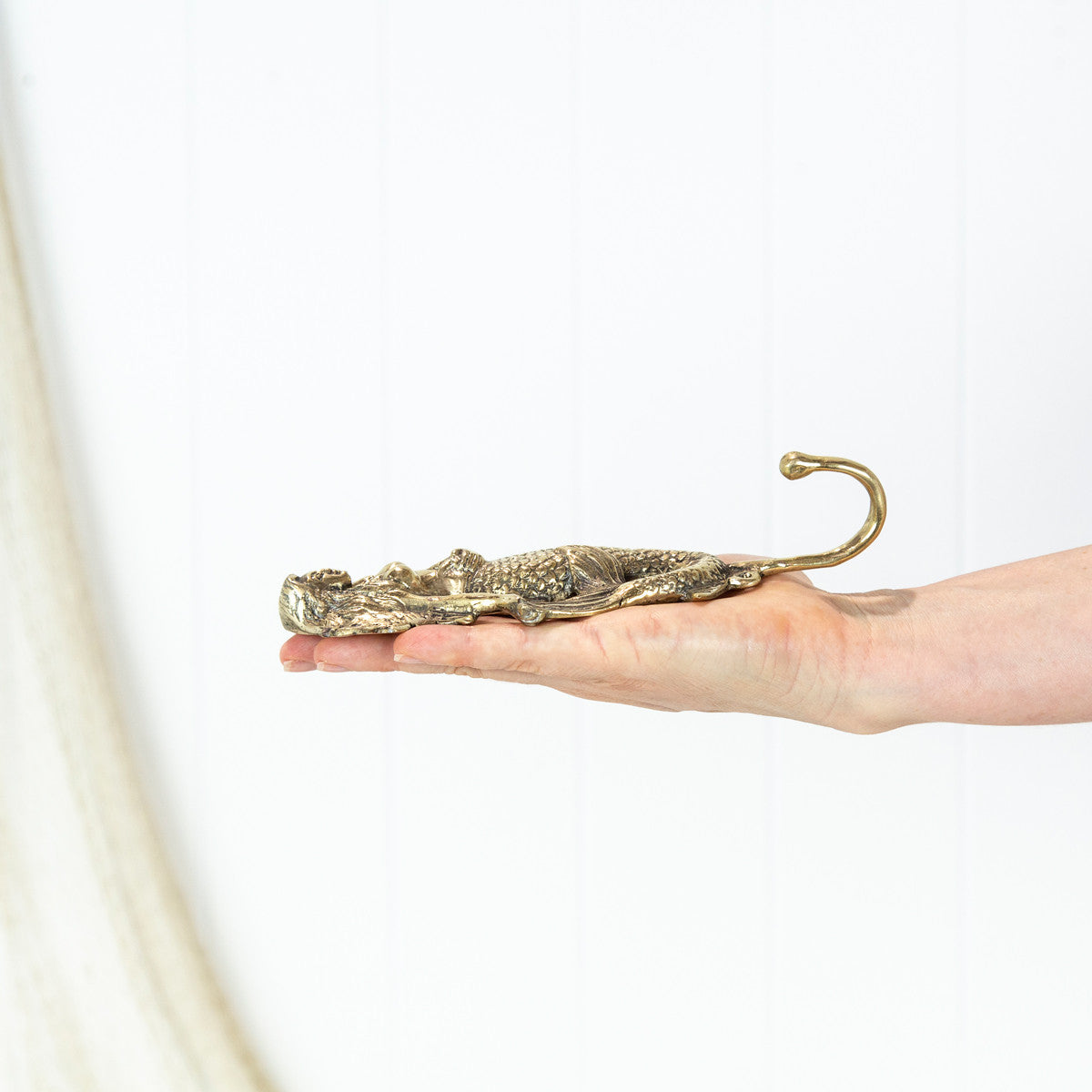 Mermaid Hook - Shiny #0136