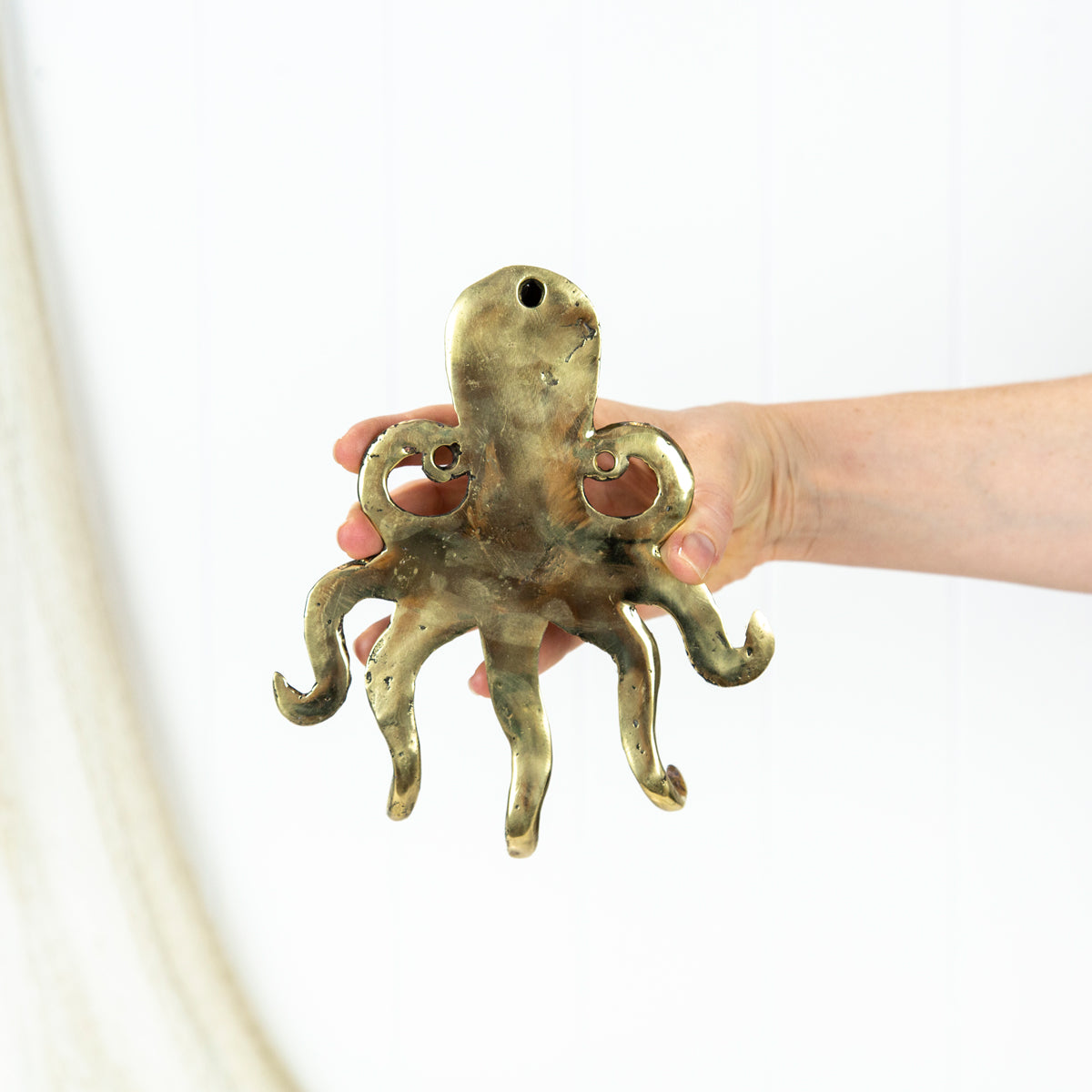 Octopus Hook - Shiny #0186