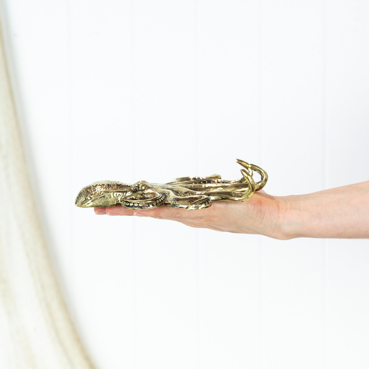 Octopus Hook - Shiny #0186A