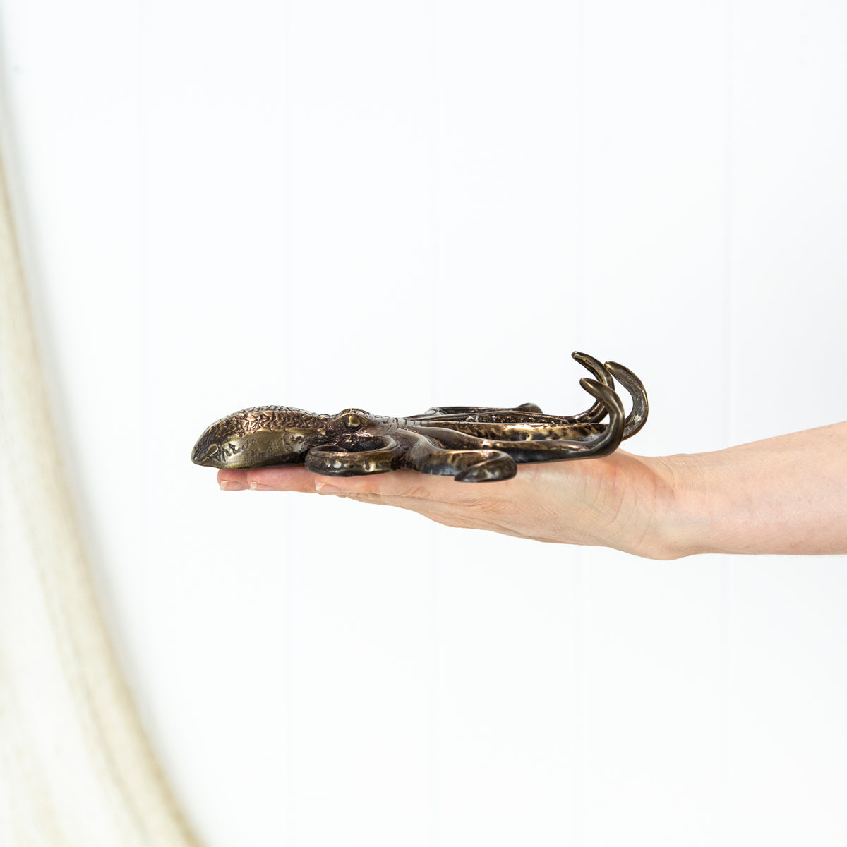 Octopus Hook - Dark #0186D