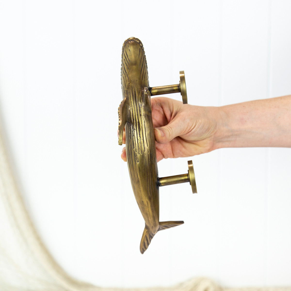 Whale Door Handle - Brushed (R) #0303R