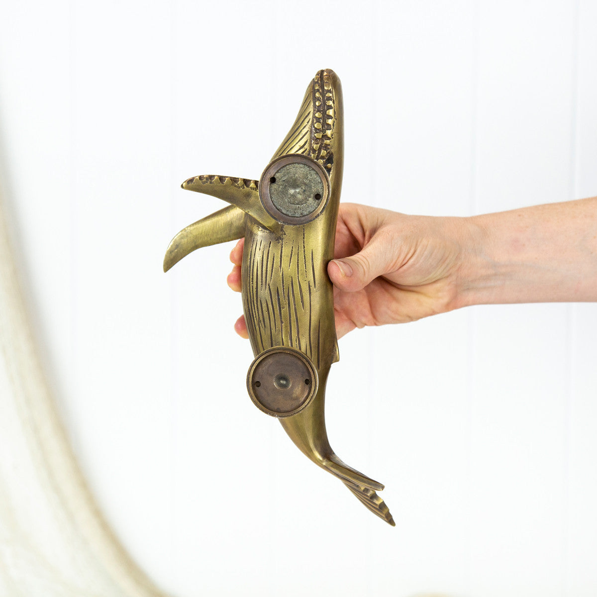 Whale Door Handle - Brushed (R) #0303R