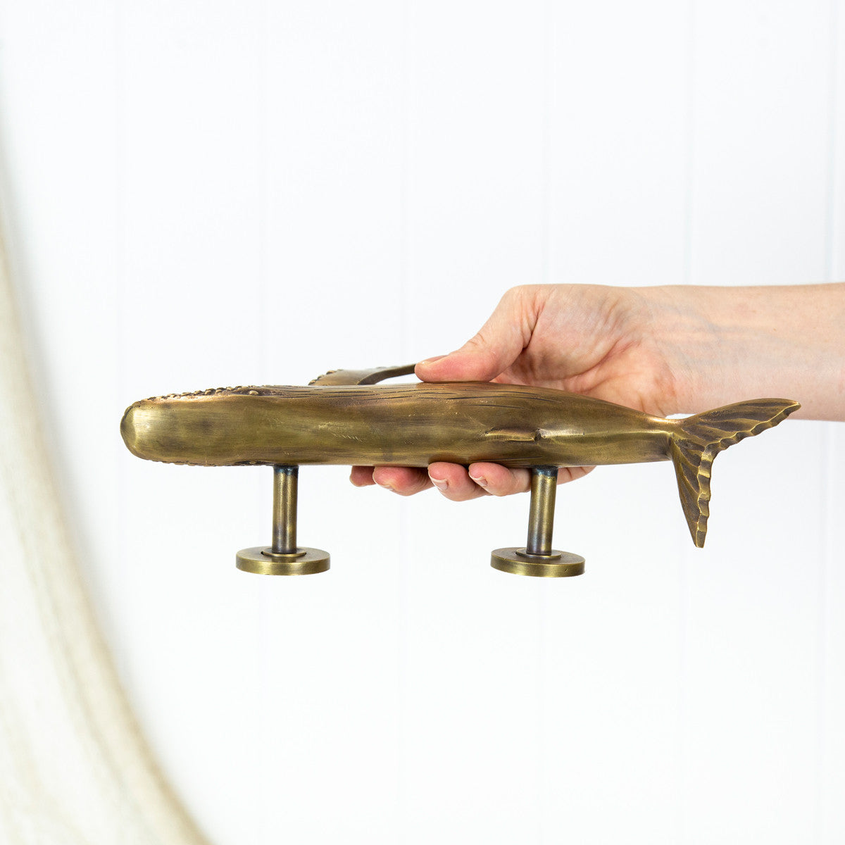 Whale Door Handle - Brushed (R) #0303R