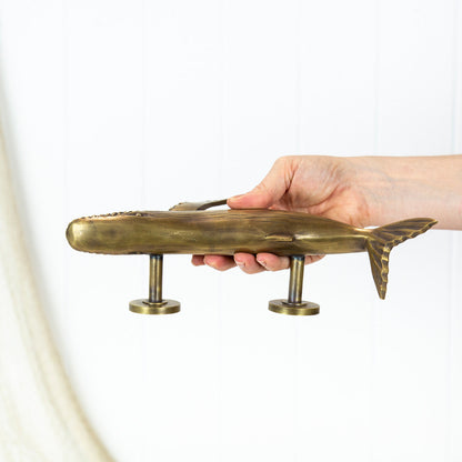 Whale Door Handle - Brushed (R) #0303R