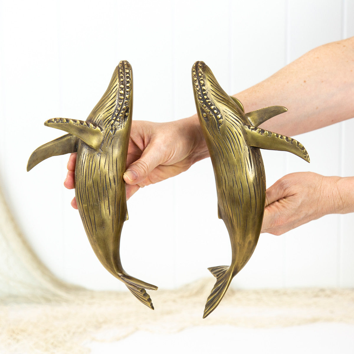 Whale Door Handle - Brushed (L) #0304L