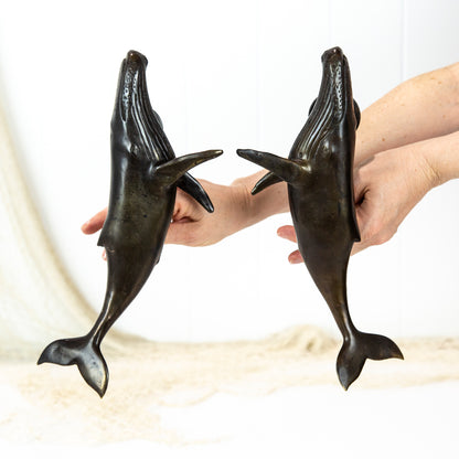 Whale Door Handle - Brushed (R) #0303R