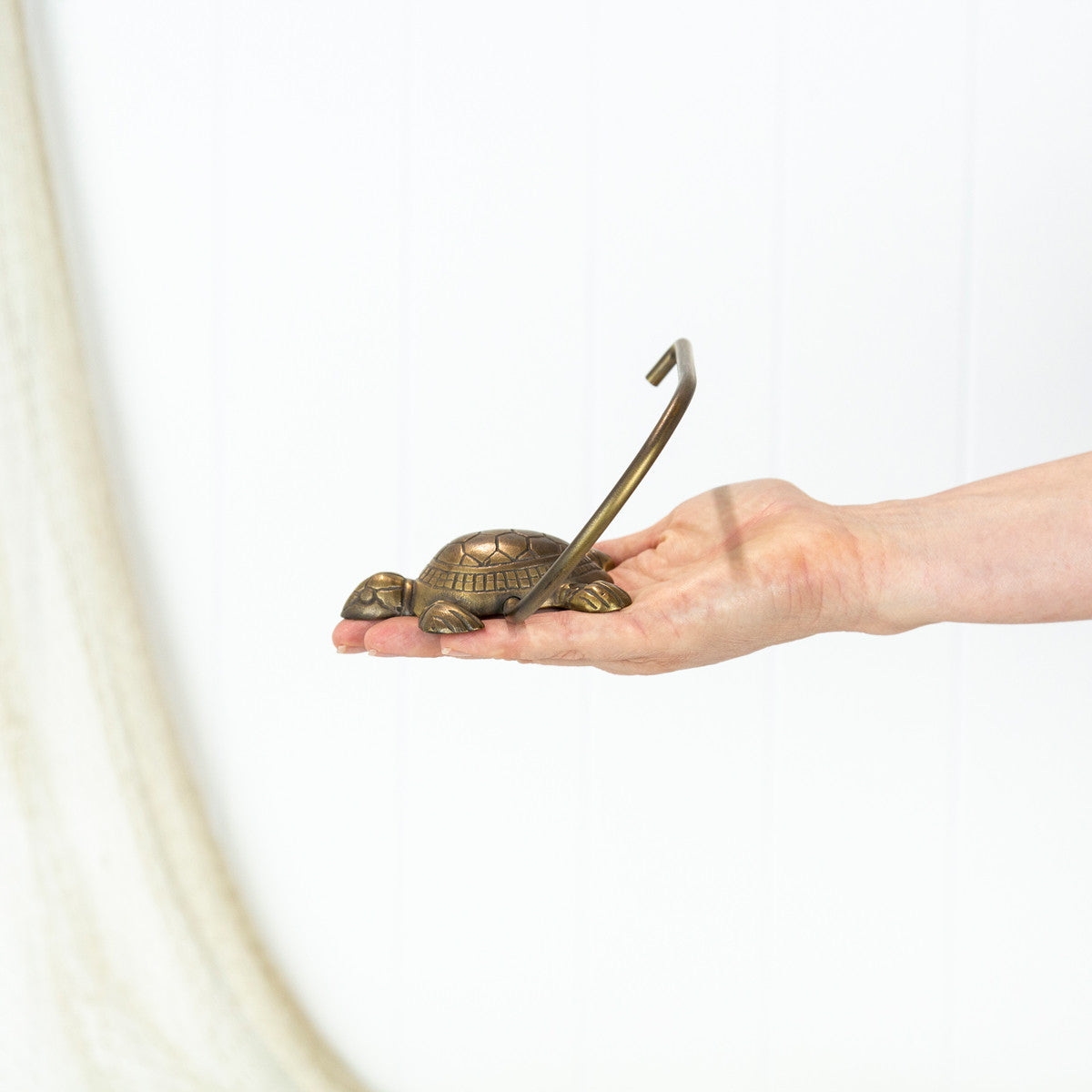 Loo Roll Holder - Turtle #0178