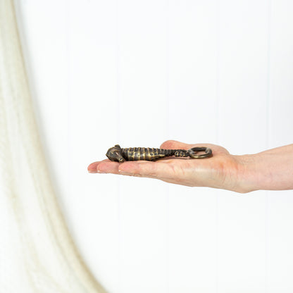 Bottle Opener Seahorse #0045