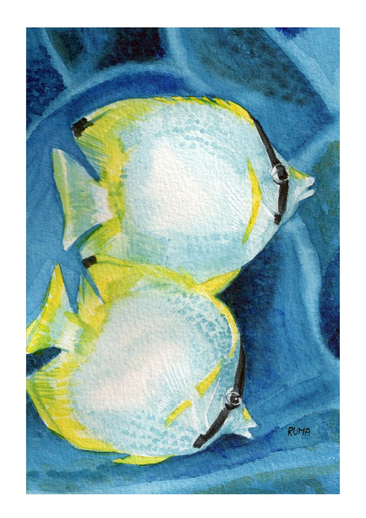 Fish I