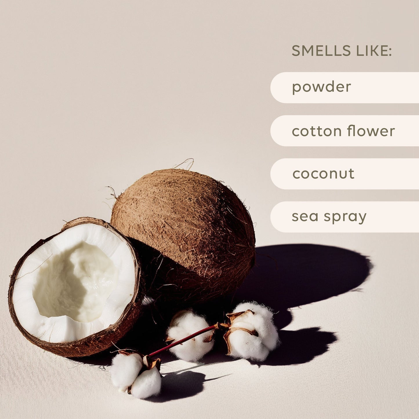 Alive Body Home Fragrance - Reed Diffuser benefits and features