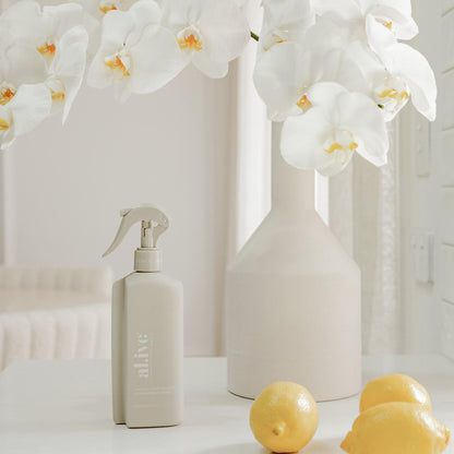 Kitchen Bench Spray - Lemon & Pomegranate