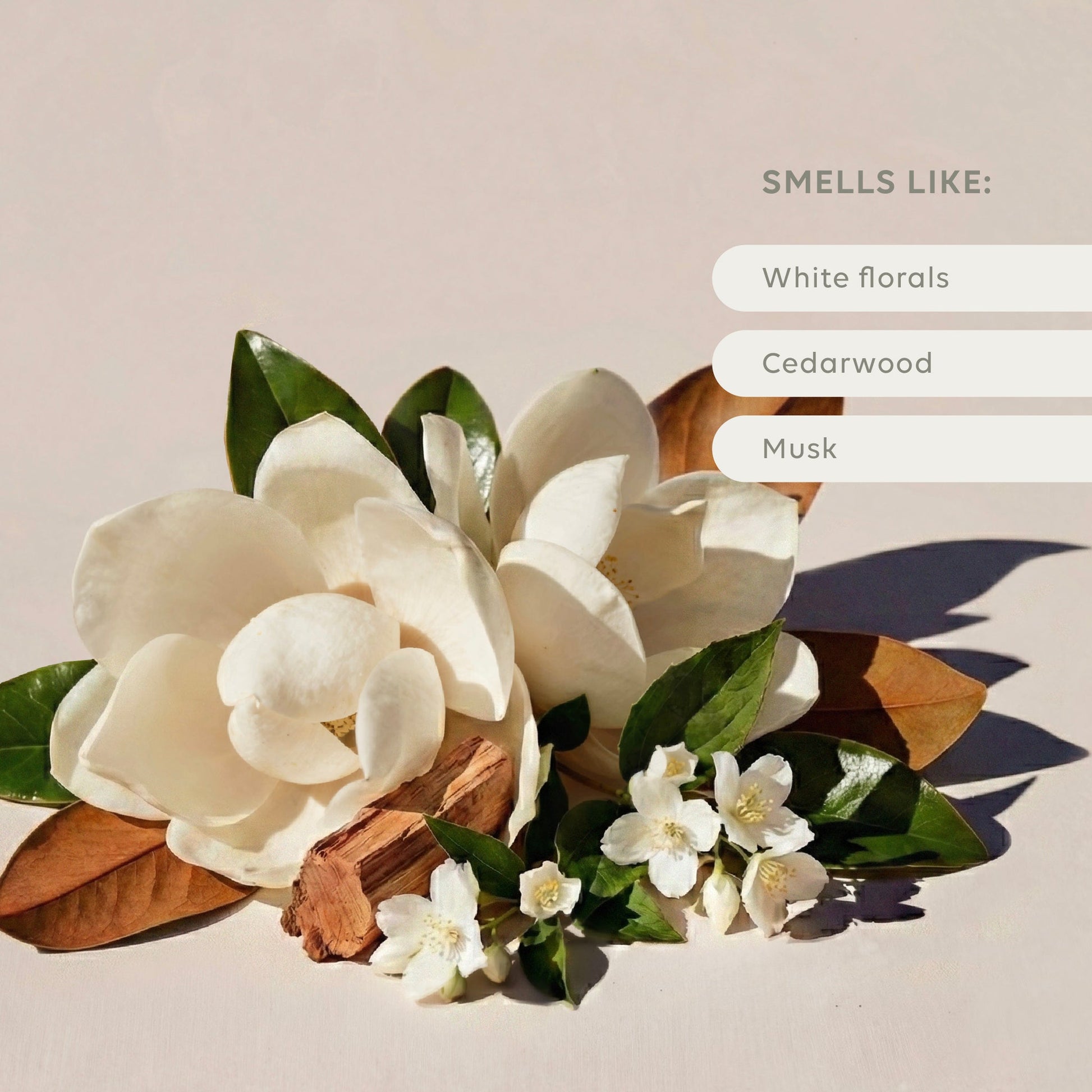 Soy Candle - Ivory Bloom