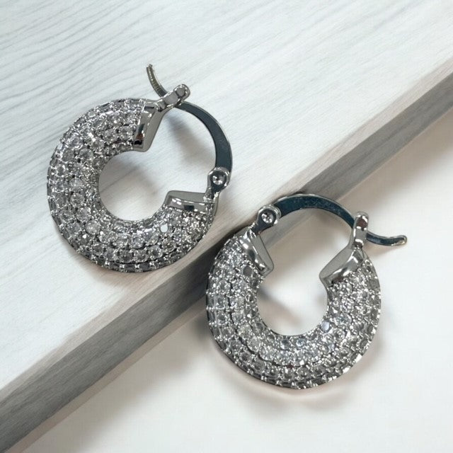 Jcsc Round Silver Crystal Earings