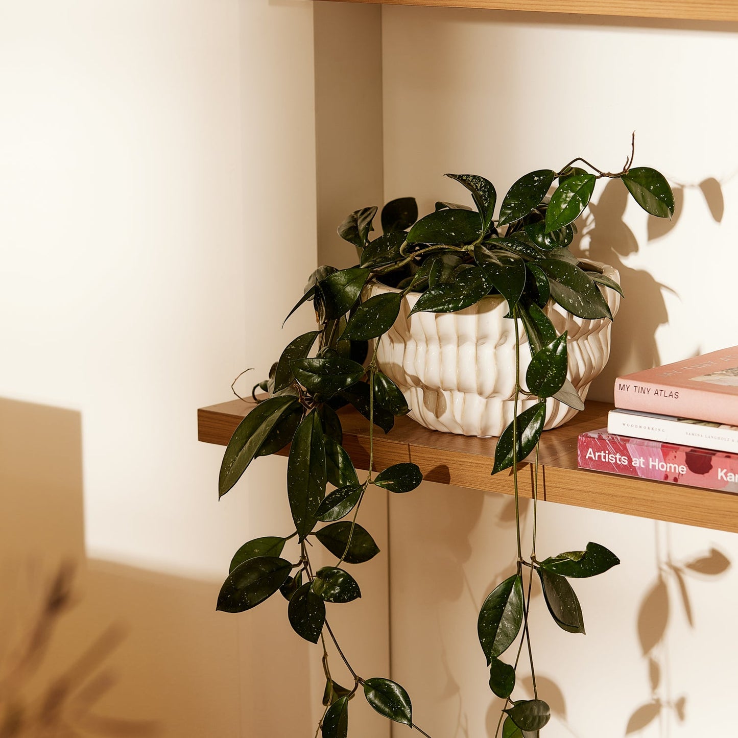 Somerset Ribbed White Planter