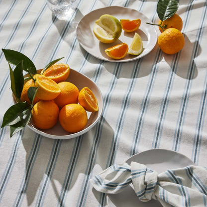 Capri Blue Stripe Napkin - Set Of 4