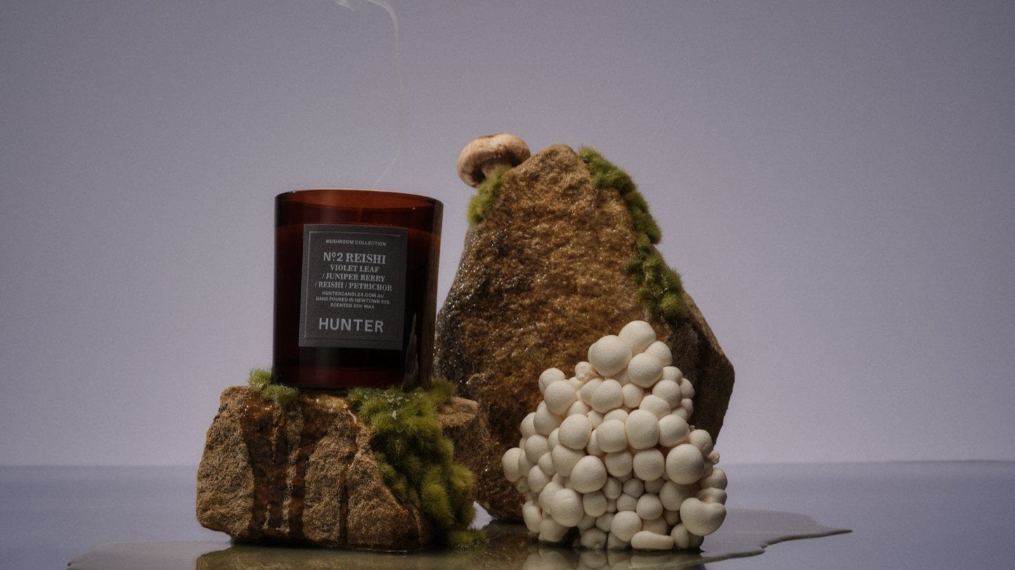No. 2 Reishi Mushroom, Violet Leaf, Juniper Berry, Petrichor