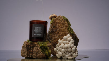 No. 2 Reishi Mushroom, Violet Leaf, Juniper Berry, Petrichor