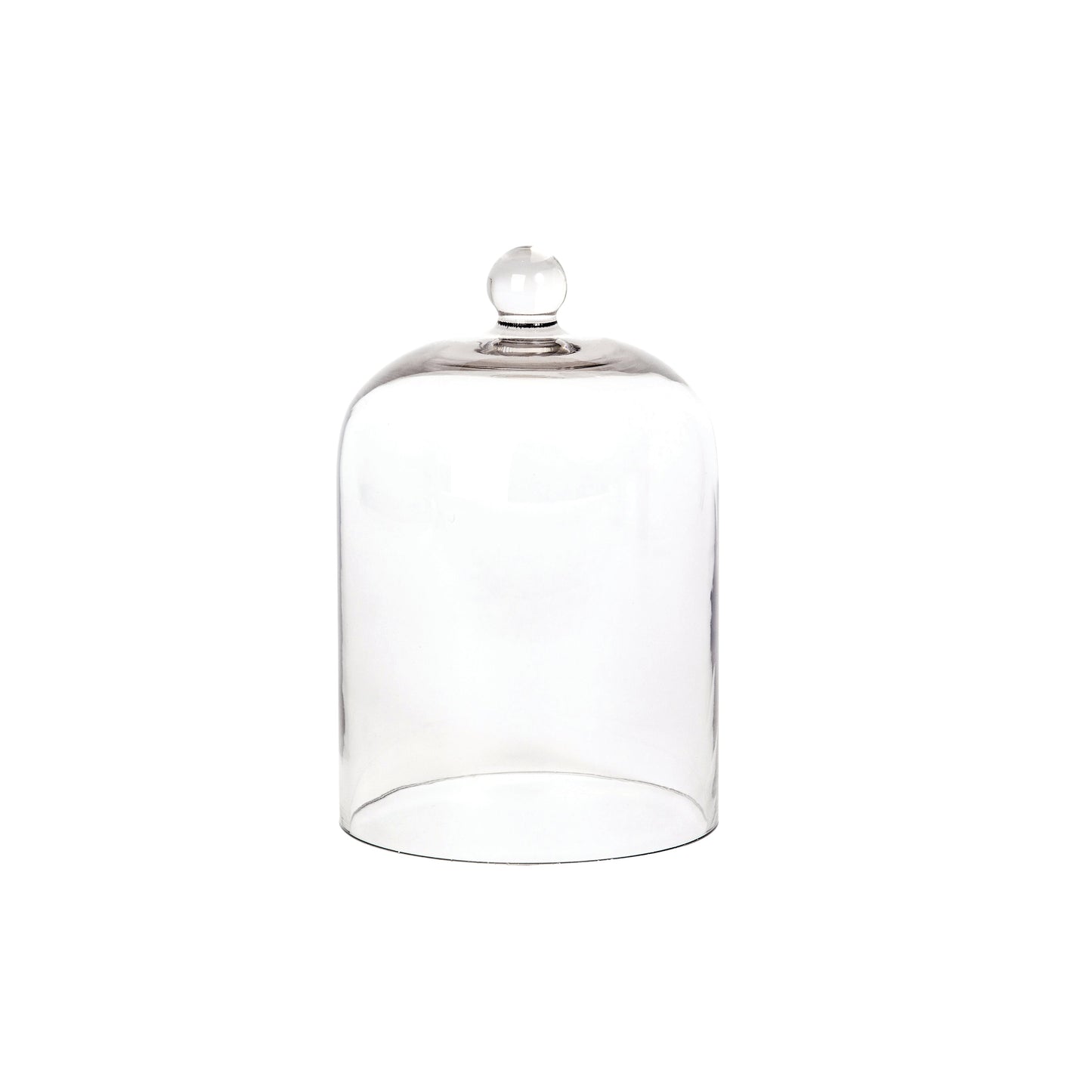 Glass Cloche - Palm Beach