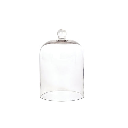Glass Cloche - Palm Beach