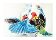 Pecking Order