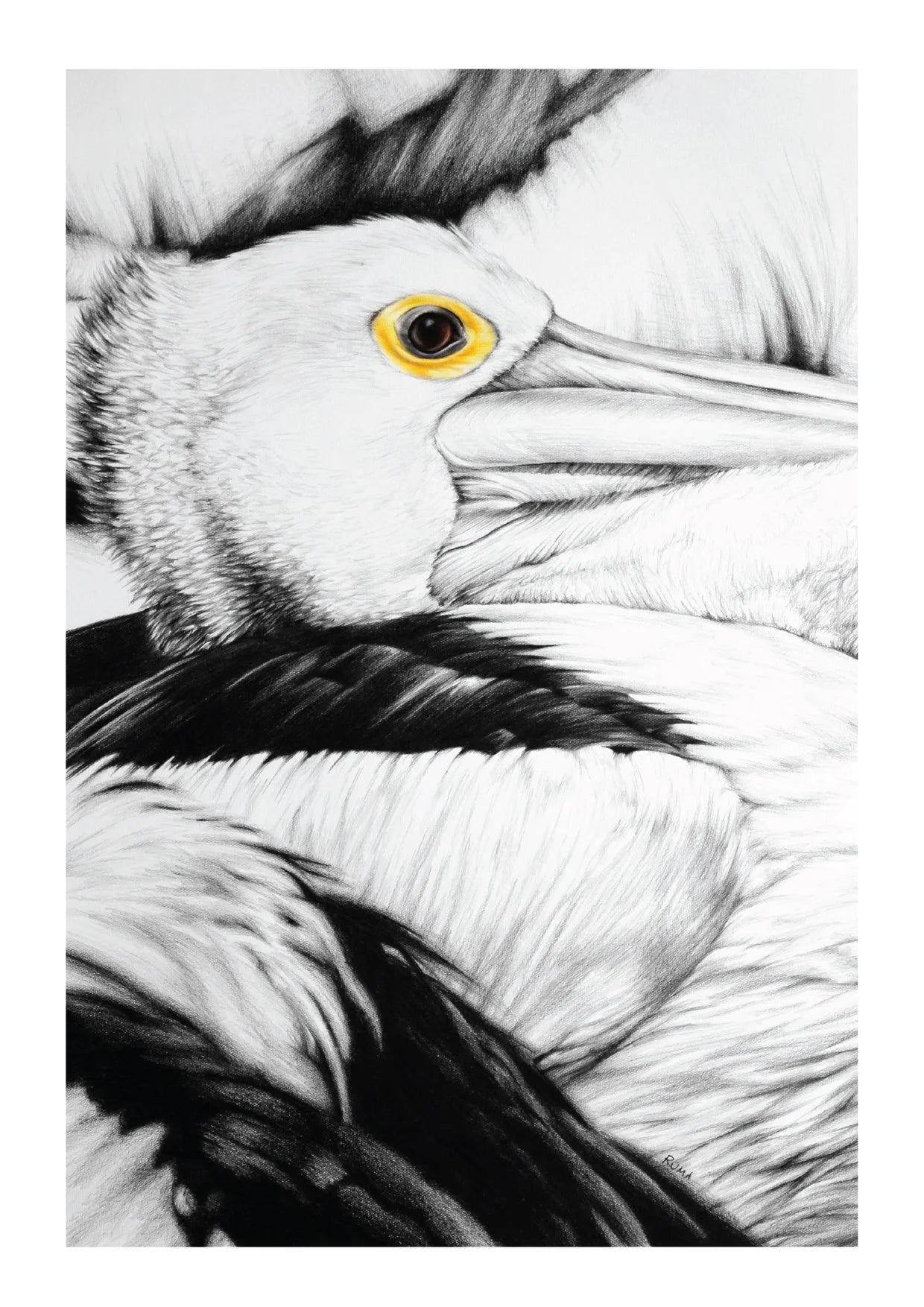 Pelican Group