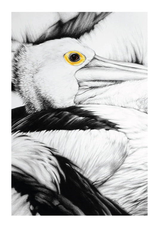 Pelican Group