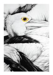 Pelican Group