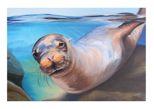 Seal