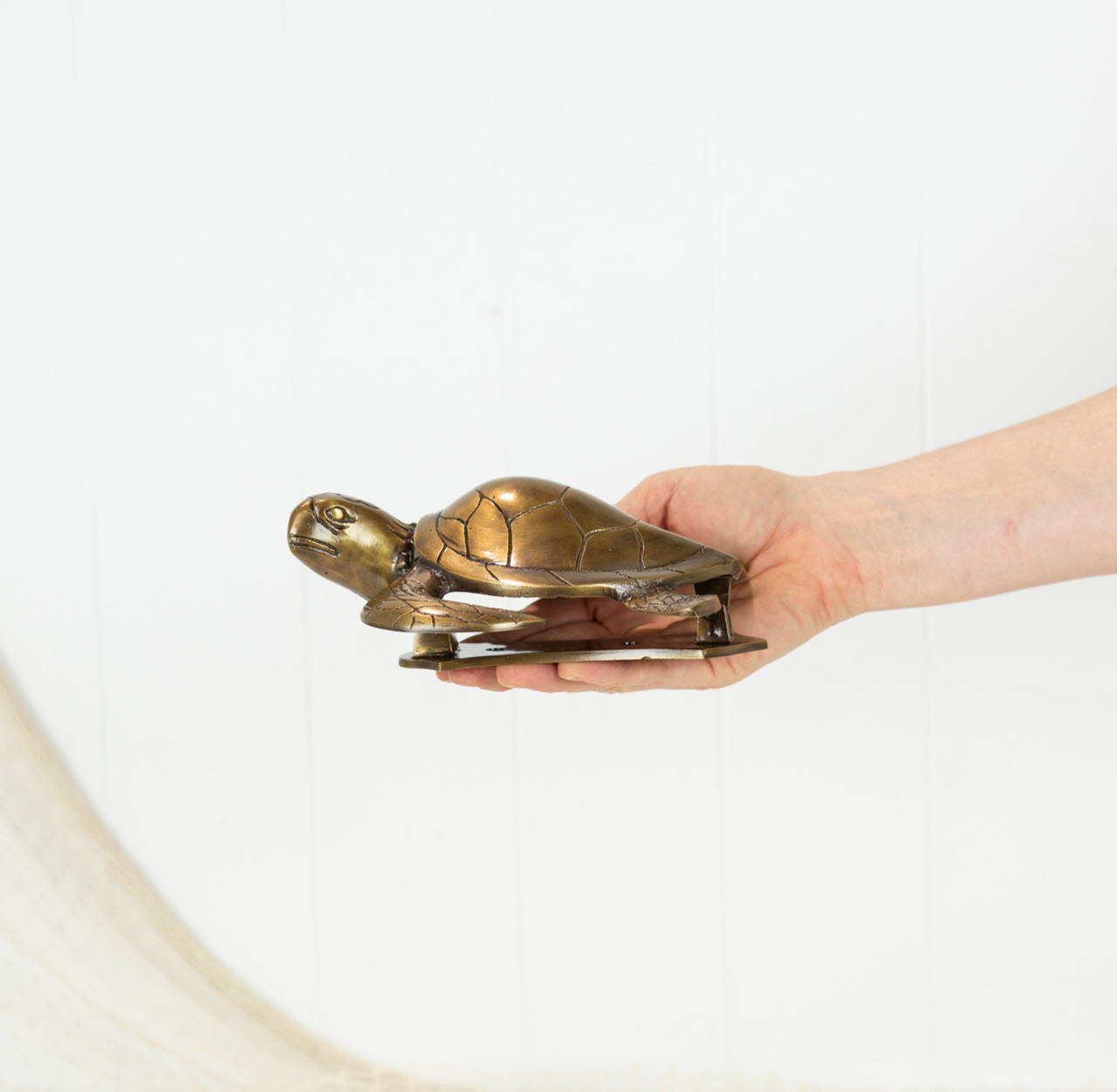 Turtle Door Knocker #0295