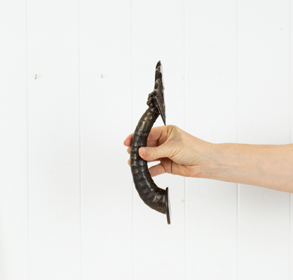 Coconut Palm Handle - Dark #0361