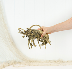 King Lobster (M) #0310