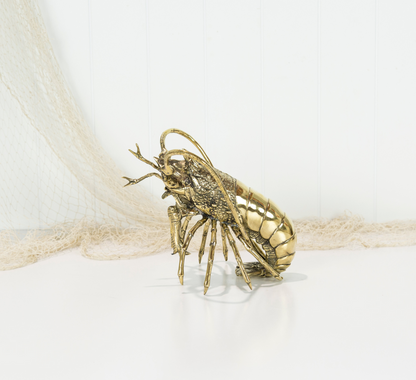 King Lobster (M) #0310