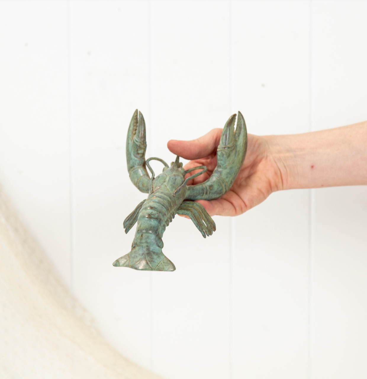 Lobster Aged (M)#0307A