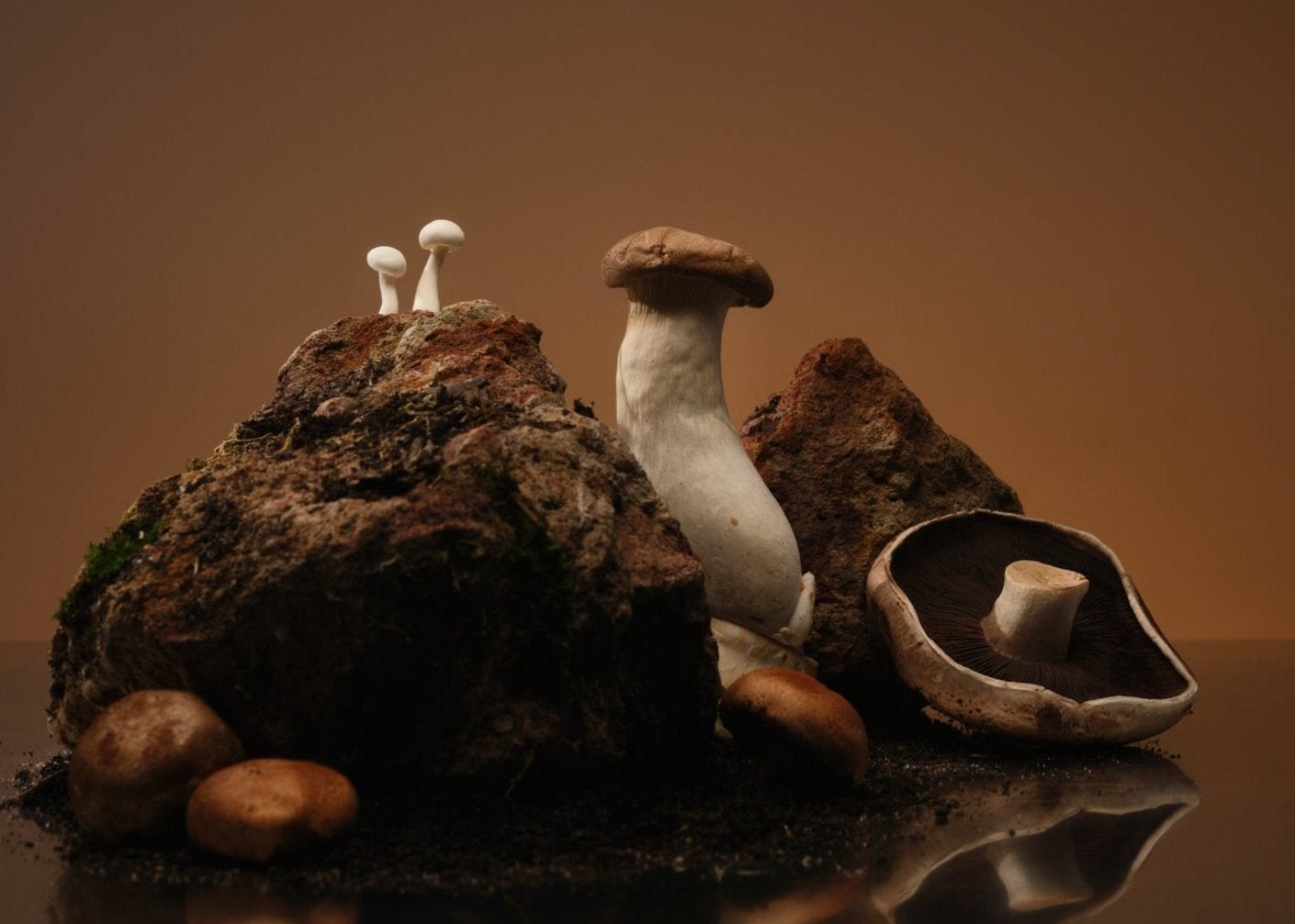 No. 3  Shiitake, Thyme, Rosemary, Oak