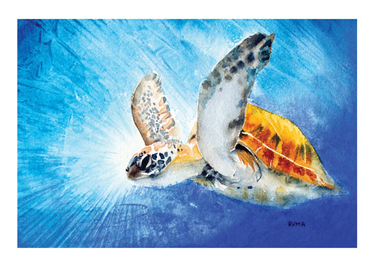 Turtle