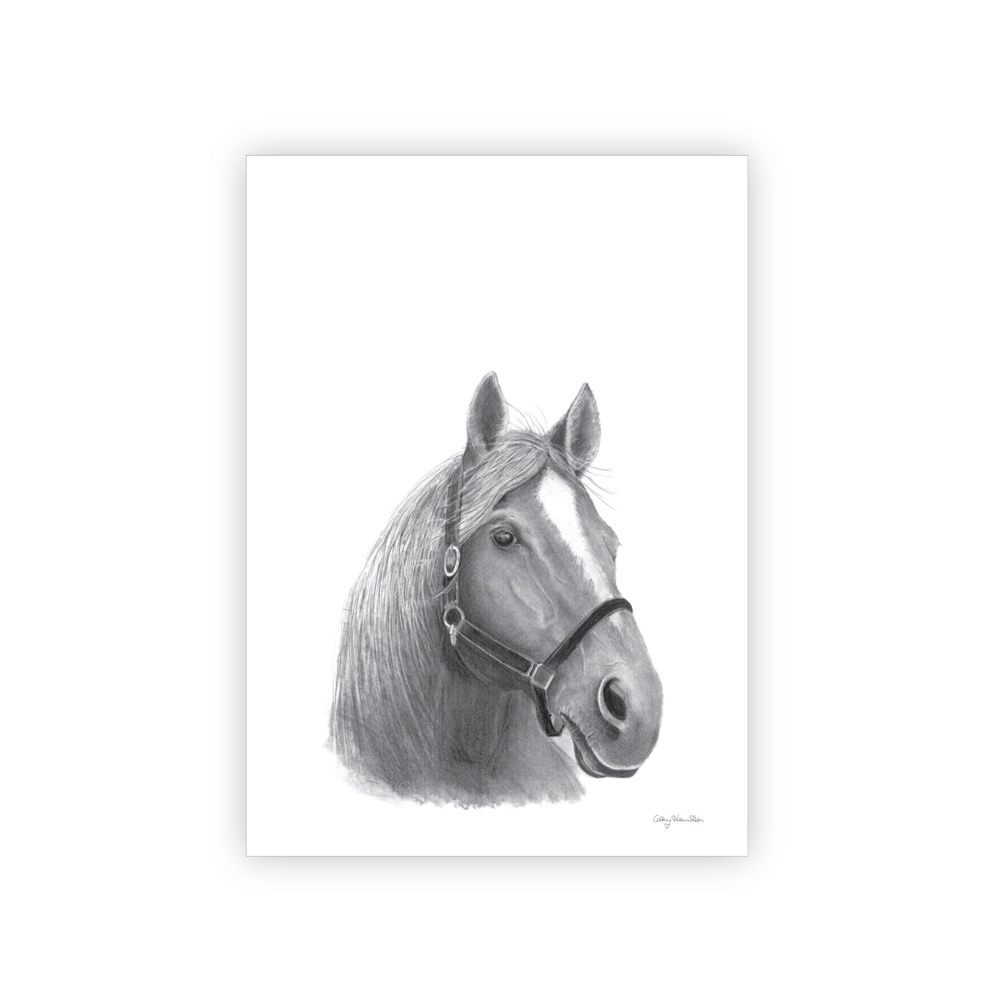 Horse Tea Towel