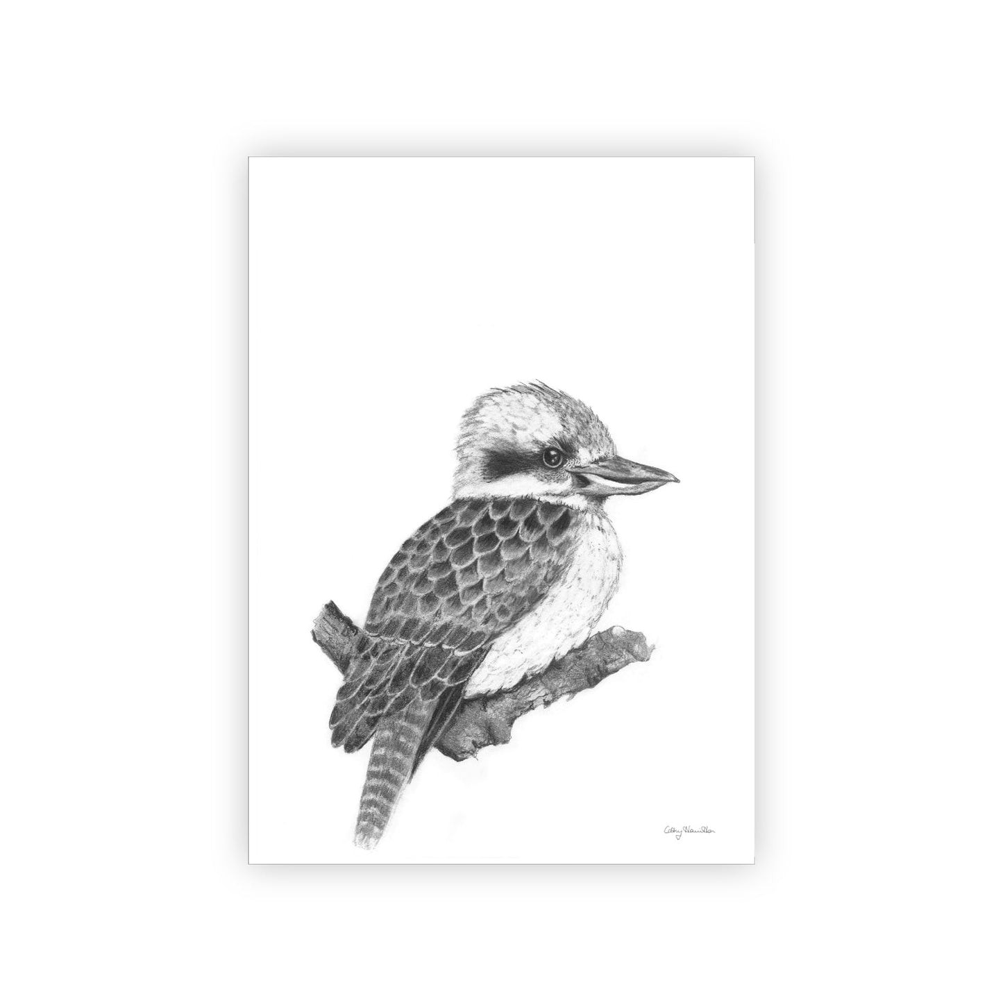 Kookaburra Tea Towel - Wholesale