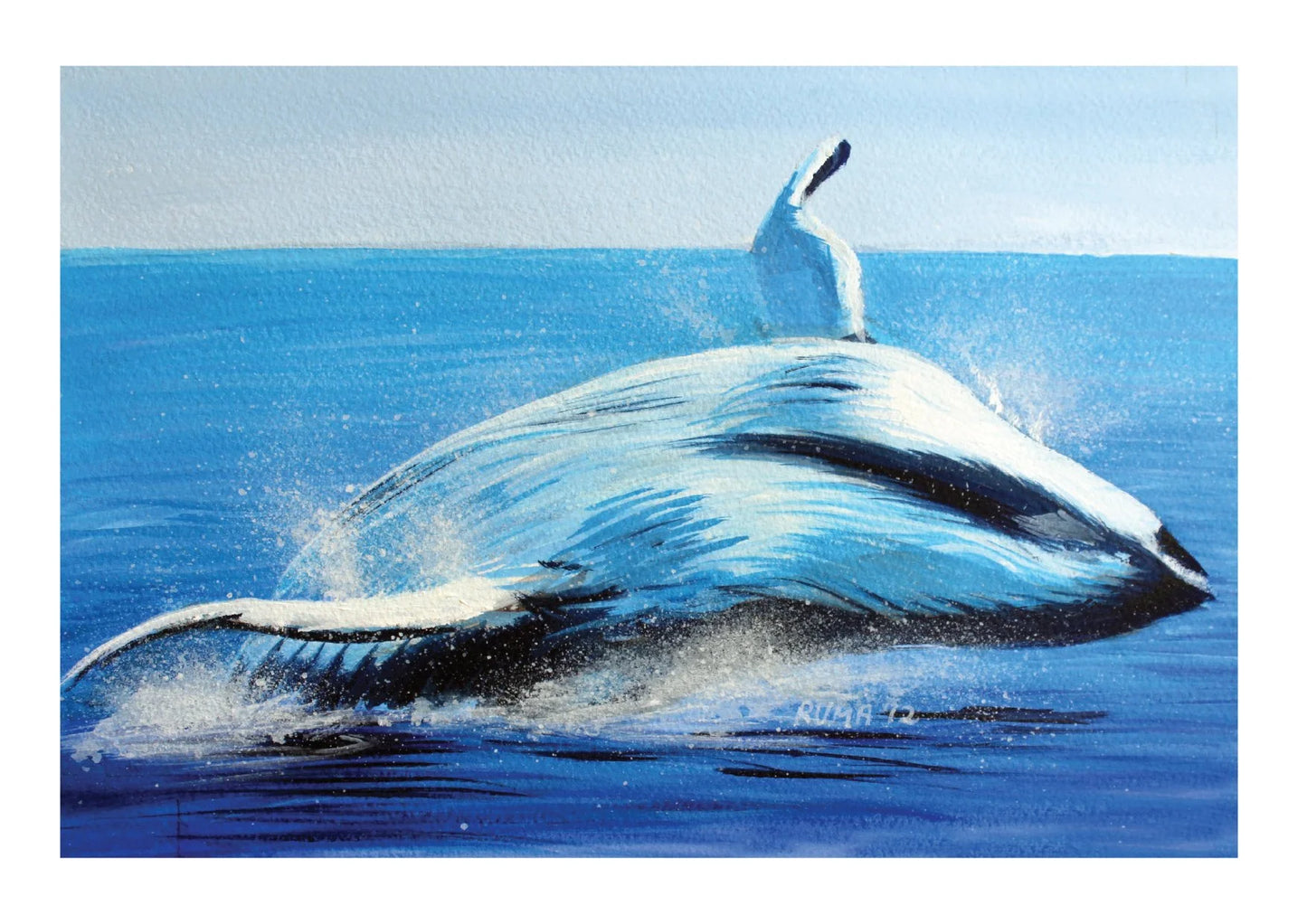 Whale