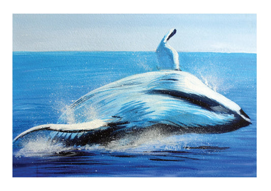 Whale