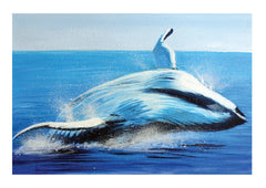 Whale